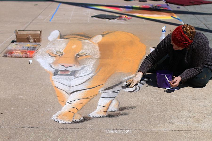 Slideshow: ColorPalooza