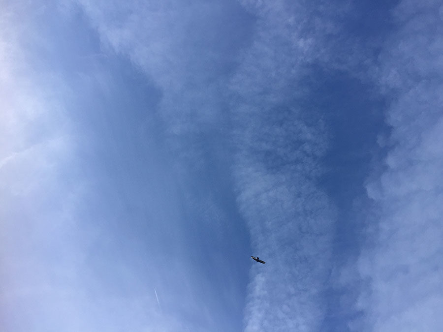 %22The+only+thing+we+have+in+common+is+that+we+can+see+the+same+clouds+pass+by+in+the+day%2C+and+we+can+look+at+the+same+blueness+of+the+sky.%22
