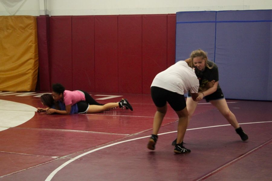 Girls+pair+up+and+begin+practicing+simple+techniques+during+Thursday+morning+practice+on+Nov.+29.
