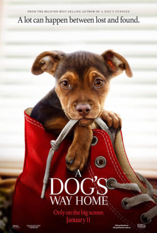 Review: ‘A Dog’s Way Home’ wins viewers’ hearts despite confusing storyline