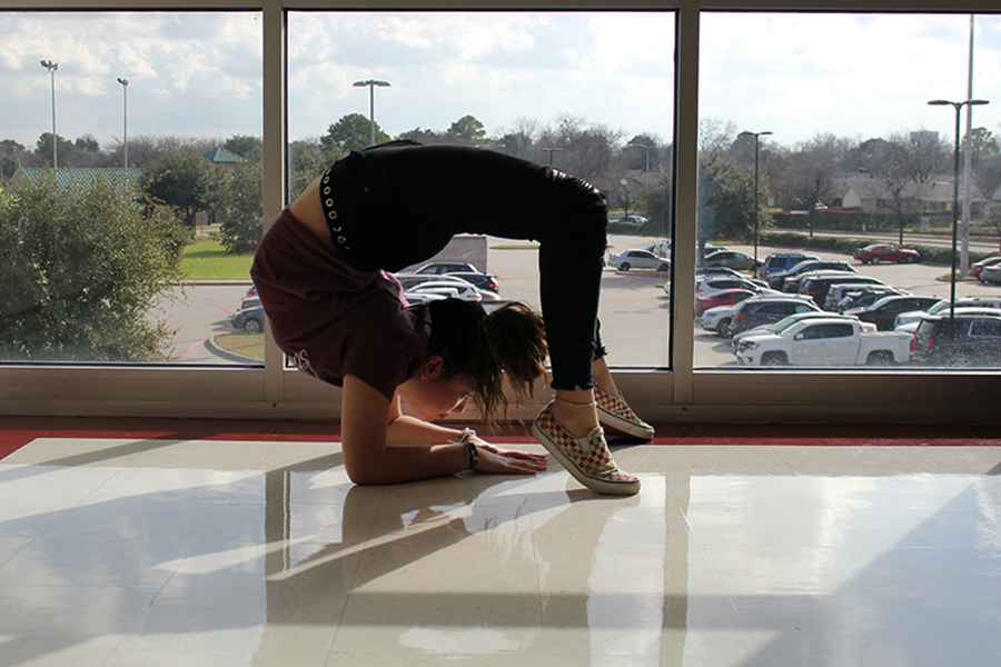 Sophomore+contortionist+Kiera+Conner+focuses+on+balancing+on+her+elbows.